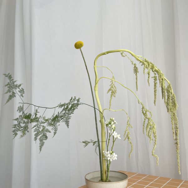 Floristikos dirbtuvės 'IKEBANA' 11.12
